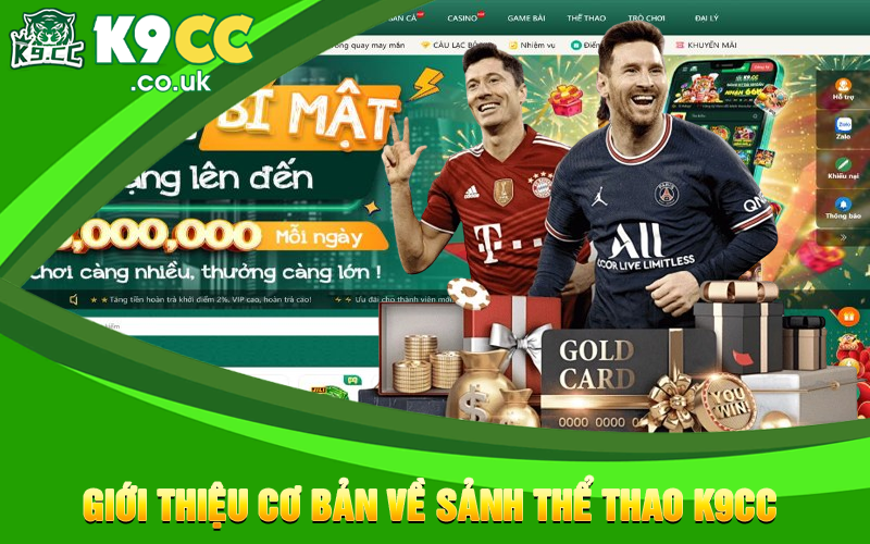 Giới thiệu cơ bản về sảnh thể thao K9cc 